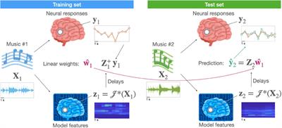 On the encoding of natural music in computational models and human brains